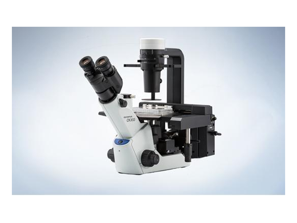 Olympus CKX53SF Inverted Microscope — Refurbished